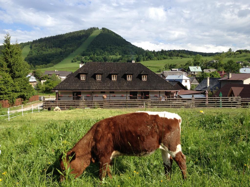 Penzion Javorina Чичмани Экстерьер фото